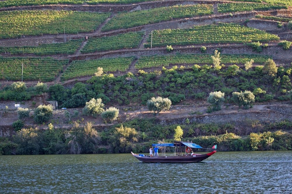 Bateau rabelo sur le Douro et vignobles en terrasses - Portugal