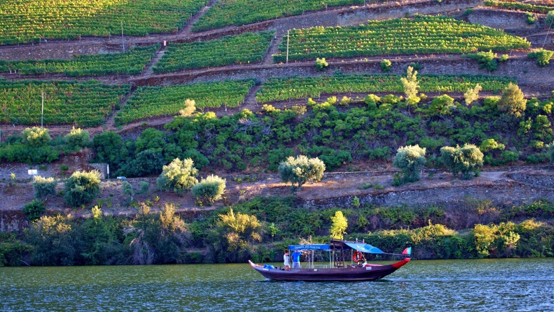 Bateau rabelo sur le Douro et vignobles en terrasses - Portugal