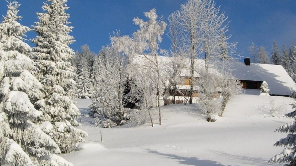 Paysage de la Forêt-Noire en hiver - Allemagne