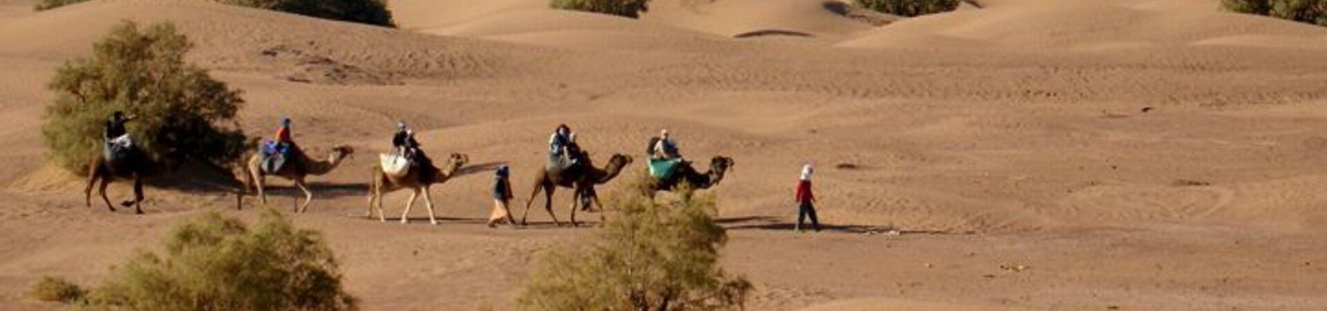 Viajes, marchas, trekkings y excursiones por el desierto en 2026