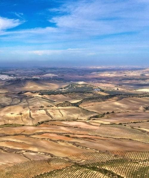 Campagne autour d'Arcos de la Frontera - Andalousie - Espagne