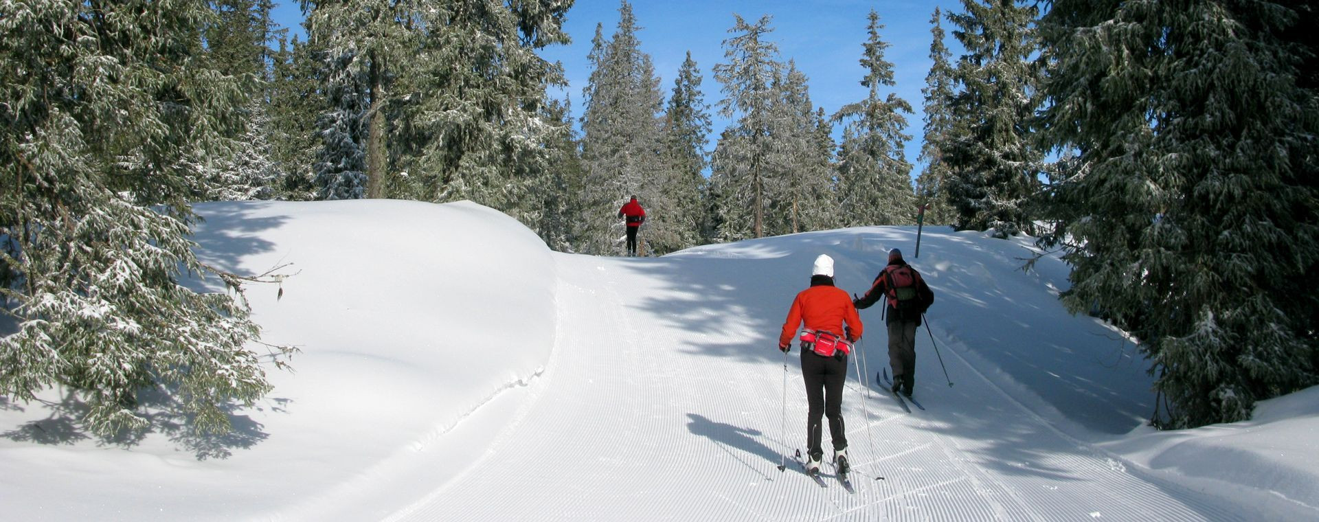 Piste de ski de fond à Sjusjøen - Norvège