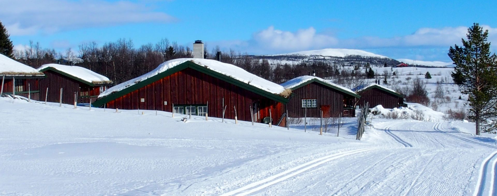 Piste de ski de fond à Venabu - Norvège