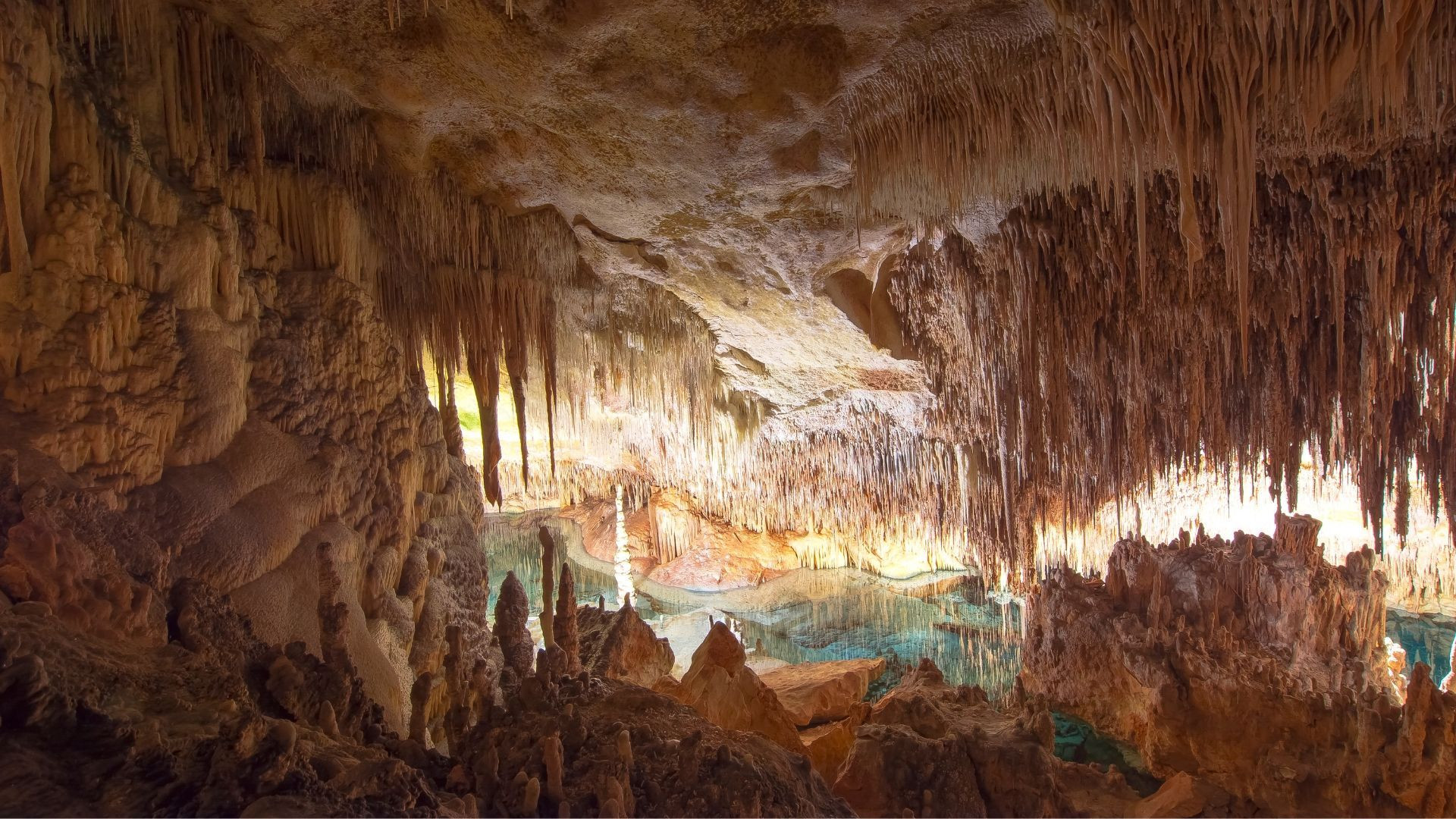Stalactites et lac souterrain des Grottes du Drach - Majorque - Espagne