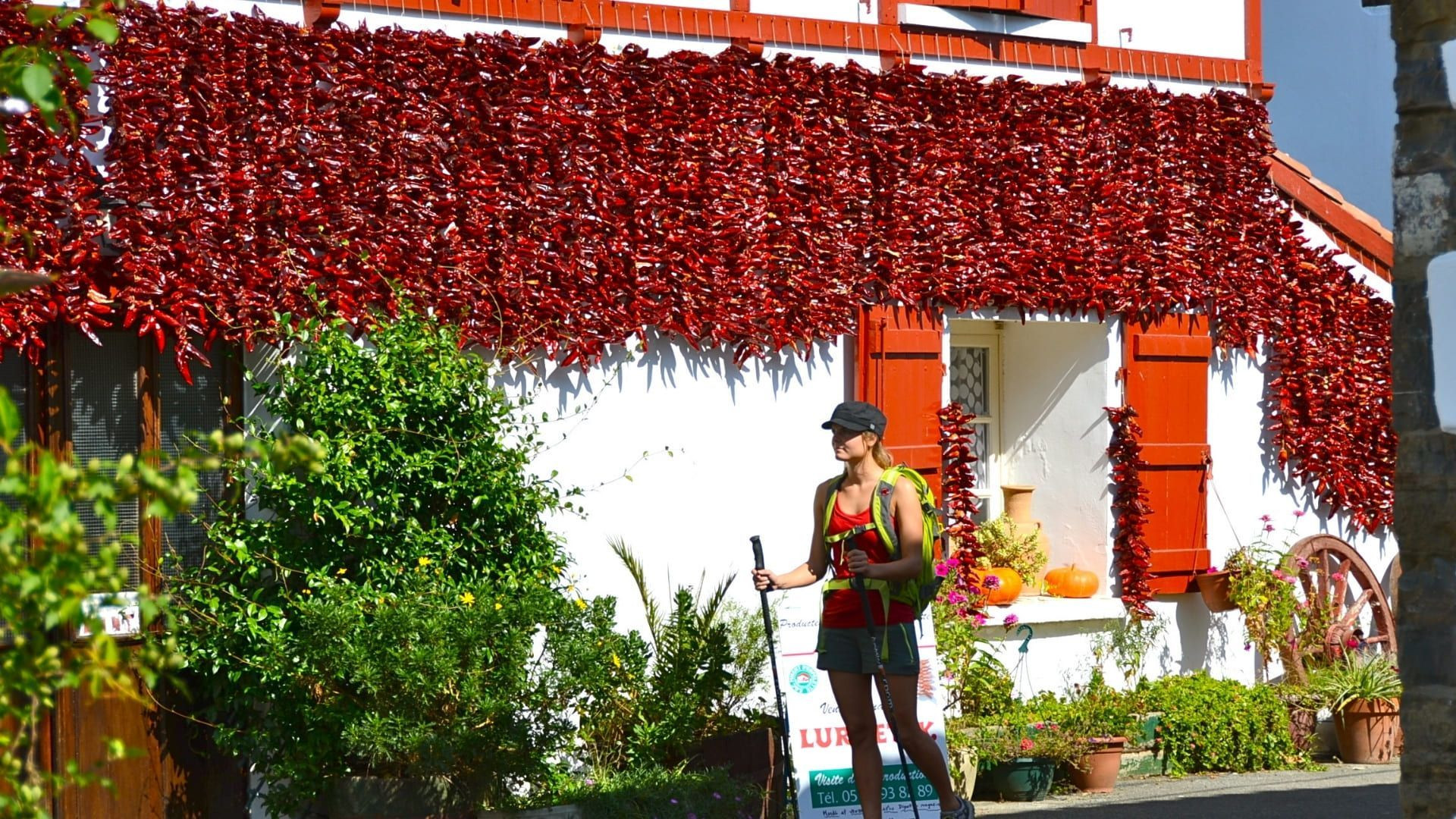 Randonneuse devant une maison ornée de piments d'Espelette - Pays basque - France