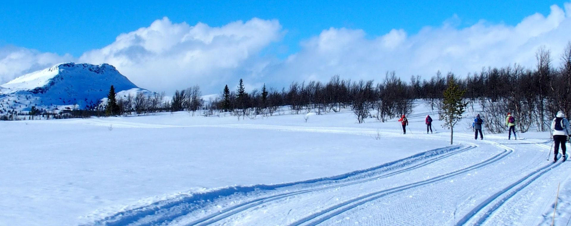 Groupe Skieurs Fond Venabu Norvege - Norvège
