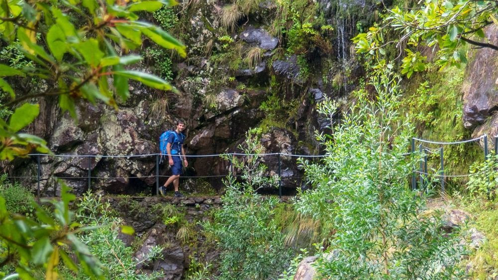 Randonneur sur une levada en forêt - Madère - Portugal