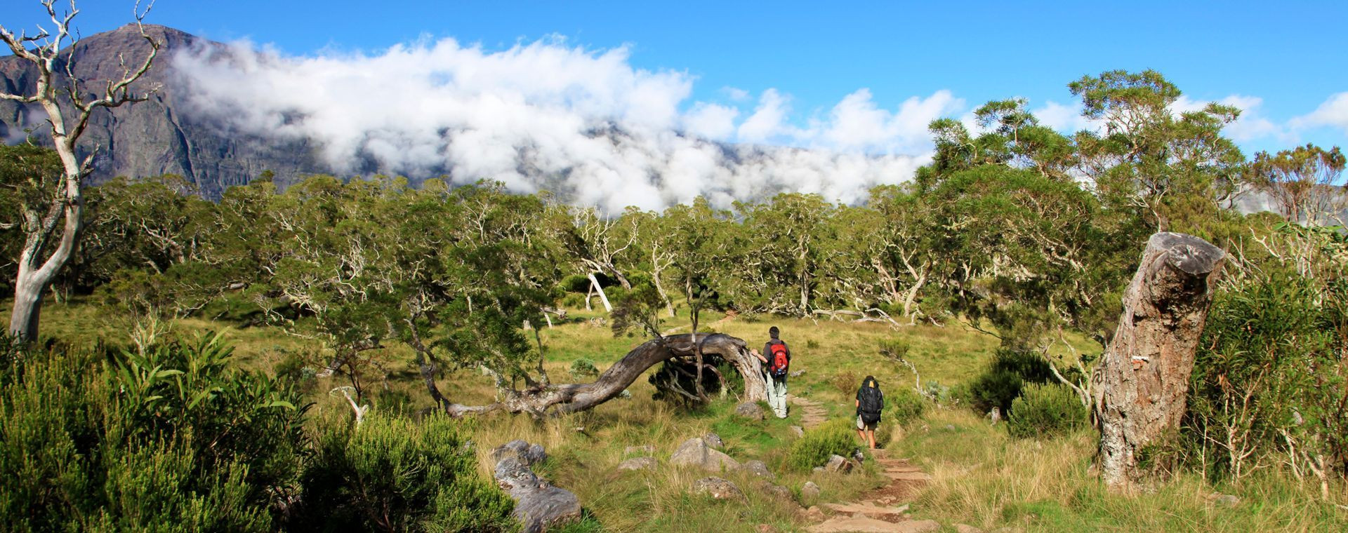 Randonnée dans la plaine des Tamarins - La Réunion - France