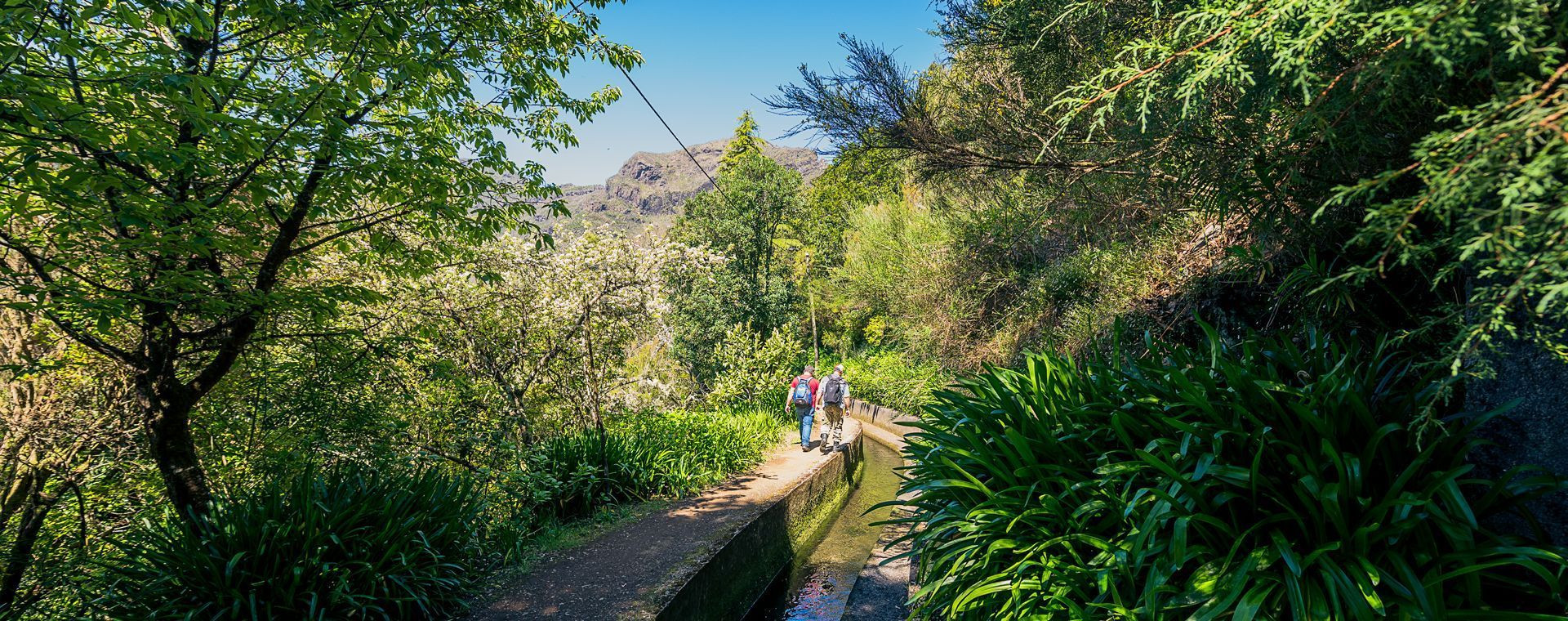 Randonnée sur le Caminho Real da Encumeada - Madère - Portugal (2)