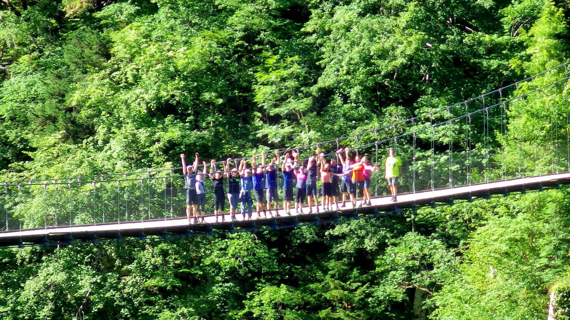 © Respyrenees Passerelle d'Holzarte sur le GR10 - Pyrénées-Atlantiques - France