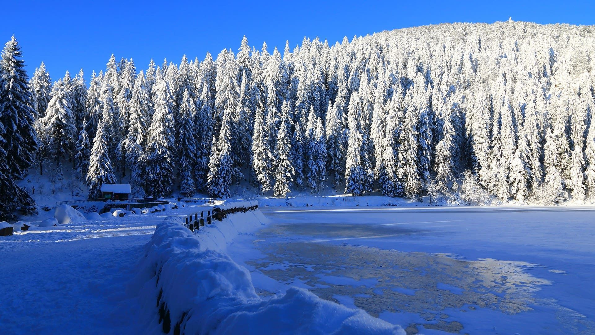 Lac gelé bordé de sapins enneigés en hiver - France