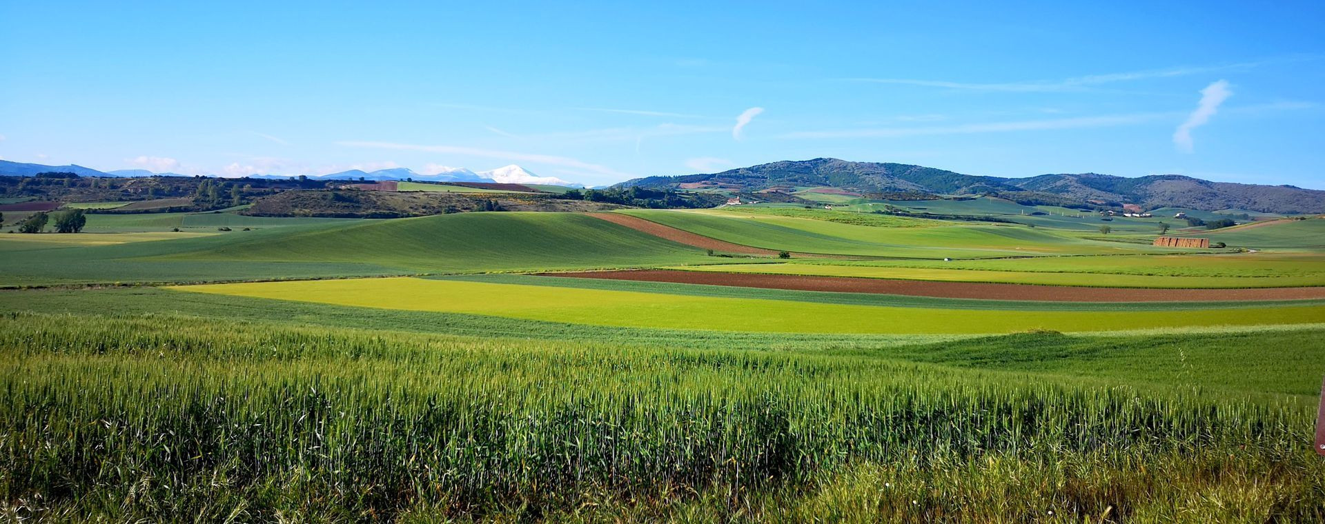 © Anne-Marie Billault Paysage depuis la Cruz de los Valientes près de Santo Domingo de la Calzada - La Rioja - Espagne