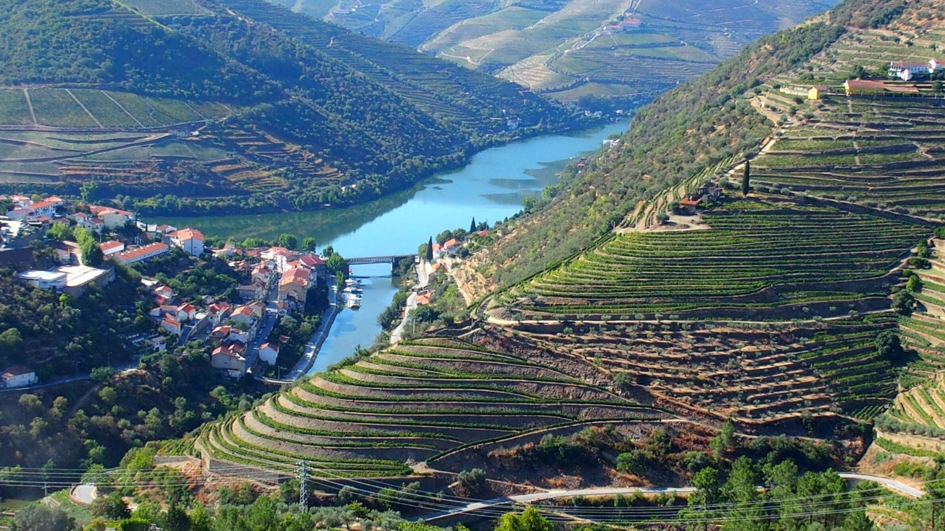 Vignobles en terrasses de la vallée du Douro - Portugal
