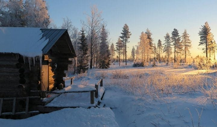 Cabane en rondins dans la forêt enneigée - Kainuu - Finlande
