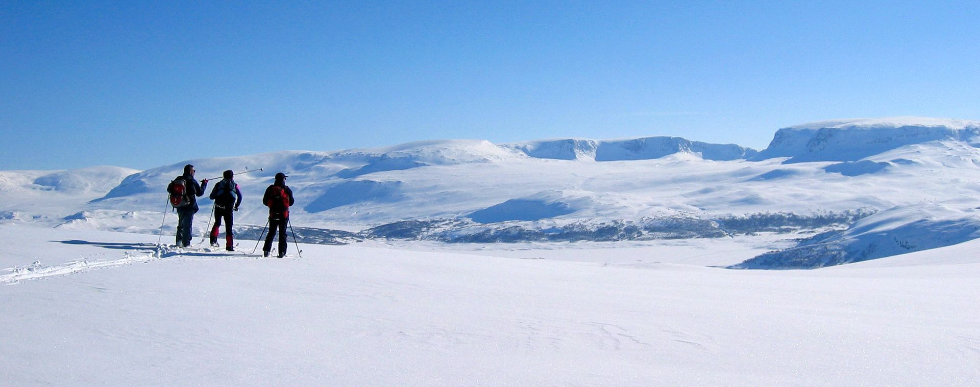 Skieurs nordiques sur un plateau enneigé - Norvège