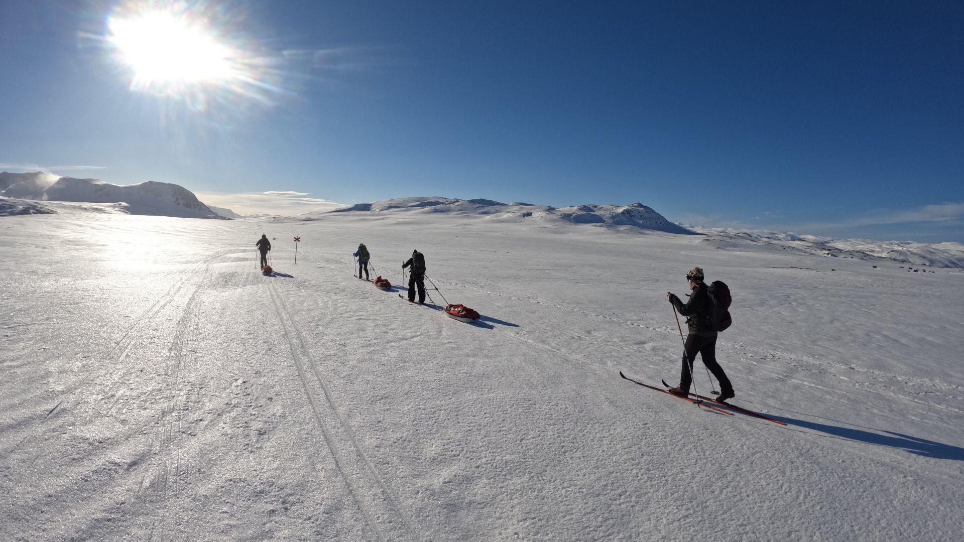 Skieurs nordiques et pulkas sur la Kungsleden - Laponie - Suède