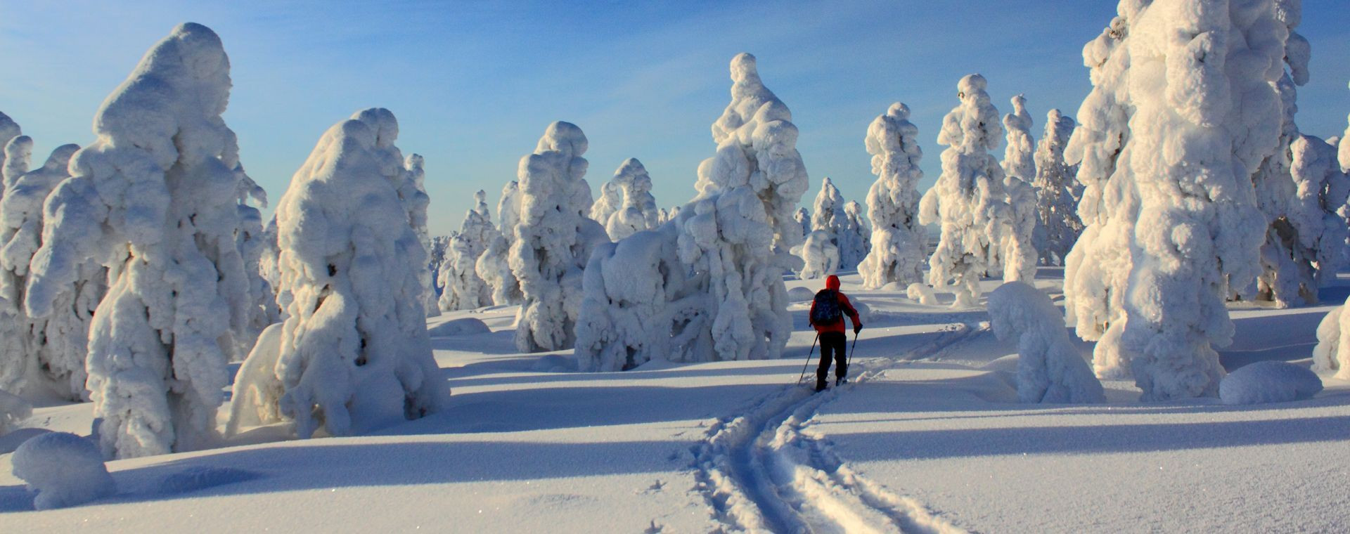 Ski nordique à Pallas-Yllästunturi - Laponie - Finlande