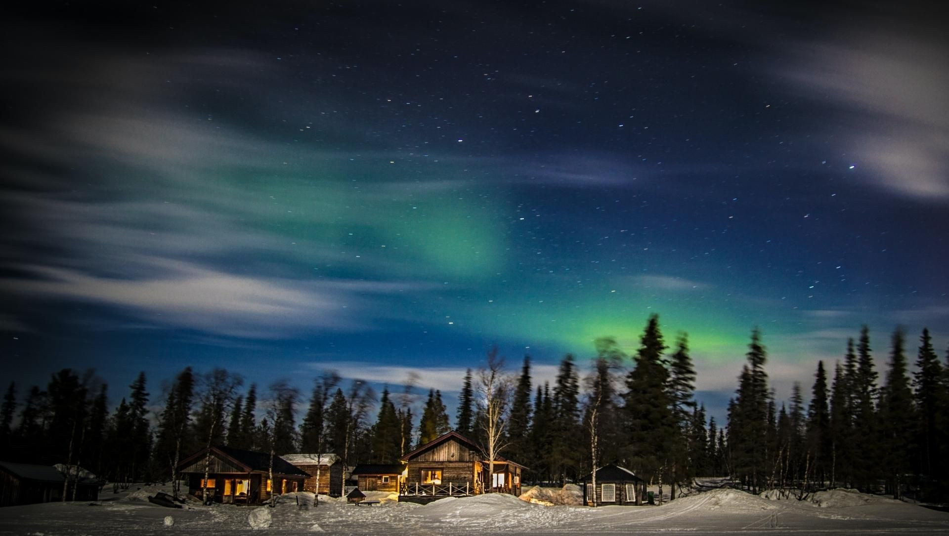 Aurores boréales au-dessus de la forêt - Kiruna - Laponie - Suède