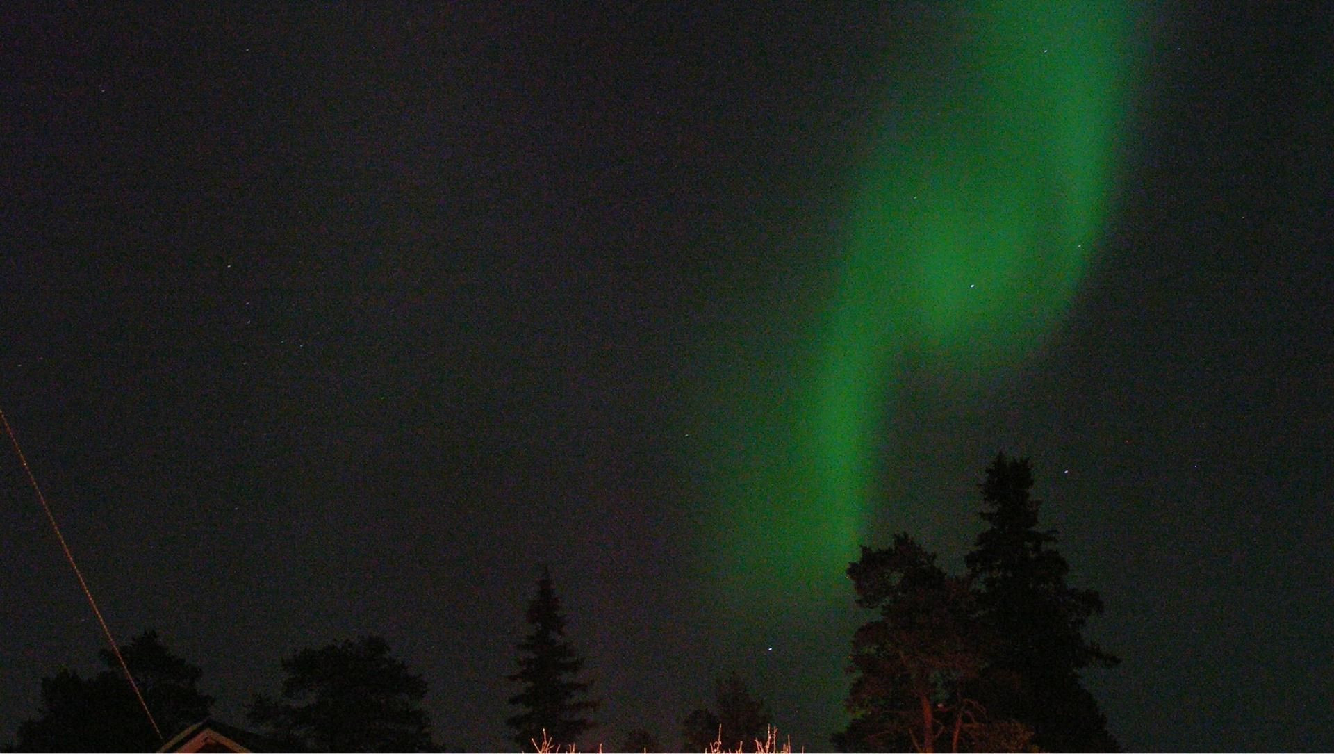 Aurore boréale au-dessus de la forêt - Laponie - Finlande