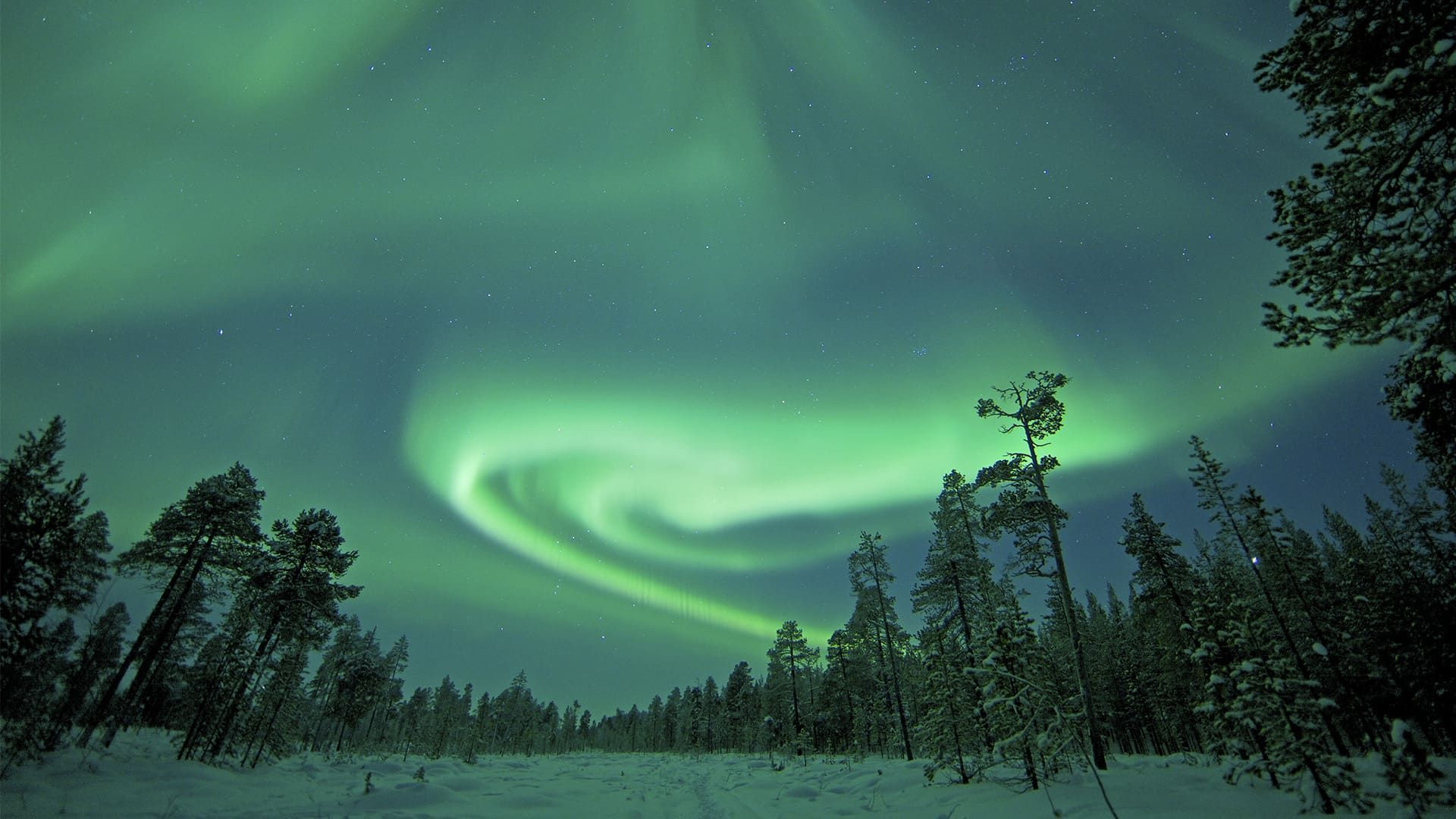 Viajes y estancias para ver auroras boreales: Gran Norte y Laponia