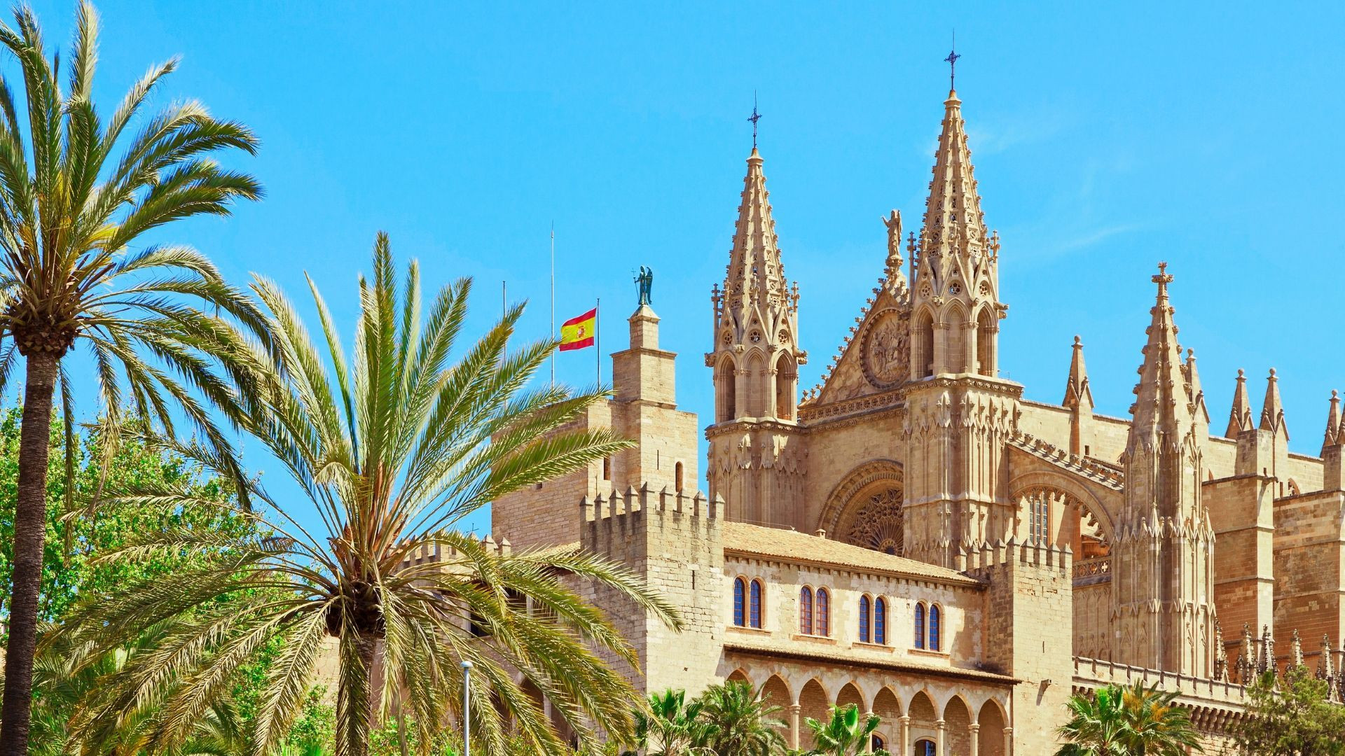 Cathédrale de Palma et palmiers - Majorque - Espagne