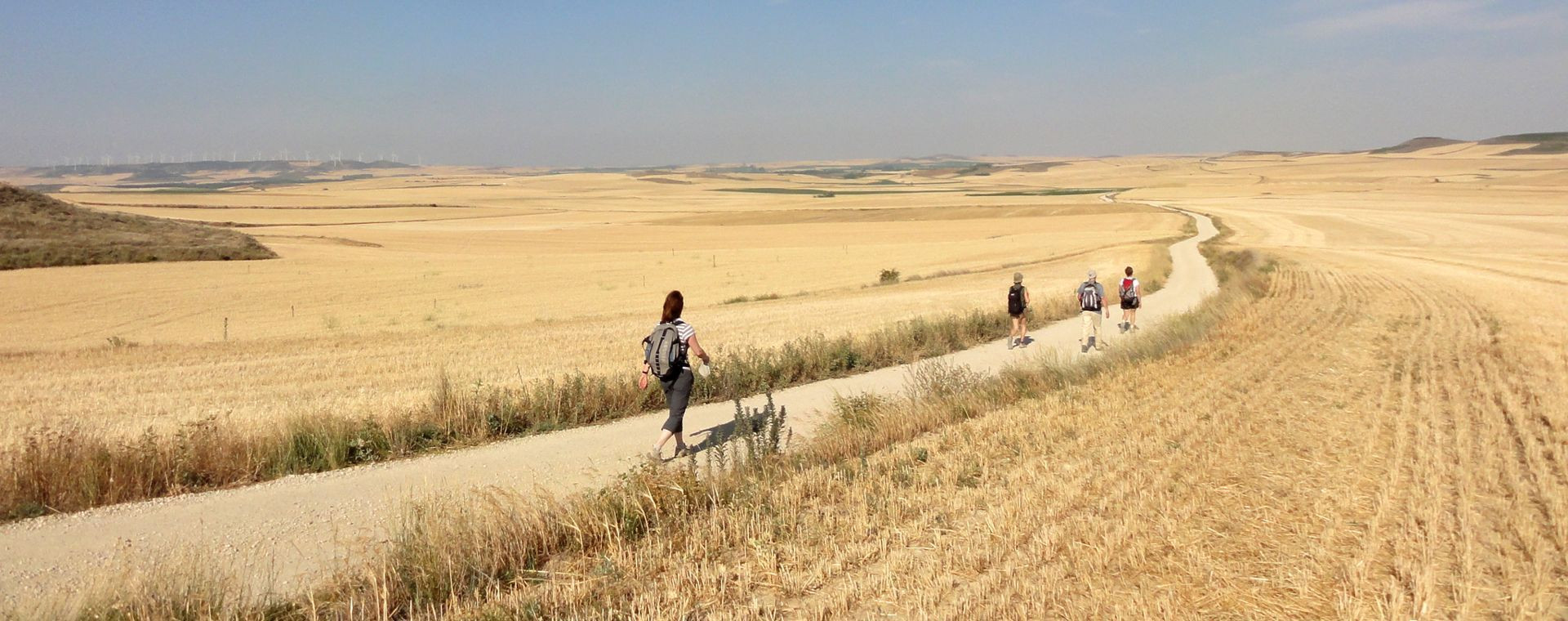 Pèlerins sur la meseta entre Burgos et Frómista - Chemin de Saint-Jacques - Espagne