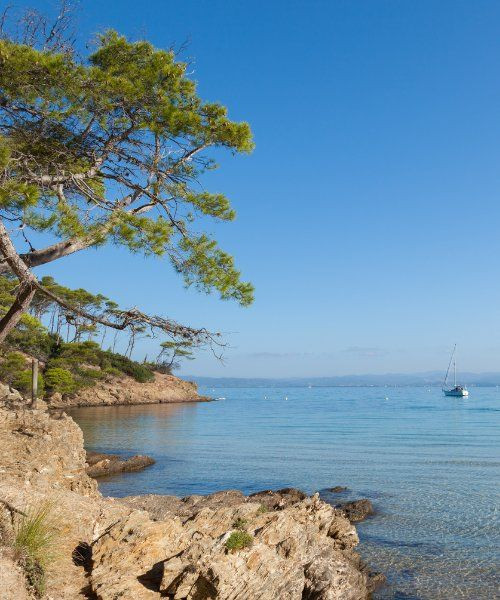 Île de Porquerolles - Var - France
