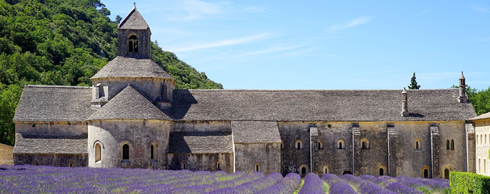 Abbaye de Sénanque - Luberon - Provence - France