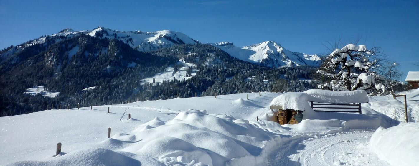 Collines enneigées et banc - Bregenzerwald - Autriche