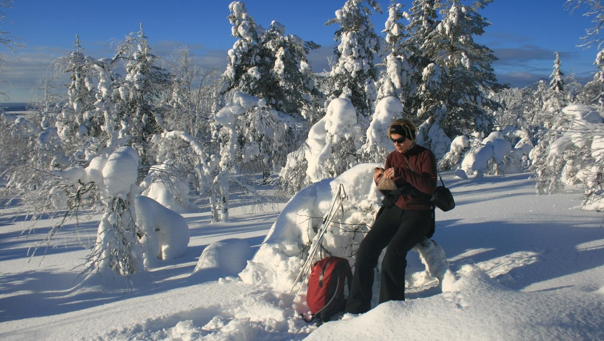 © Oriane Tempé Pause en raquettes sur un arbre enneigé - Laponie - Finlande