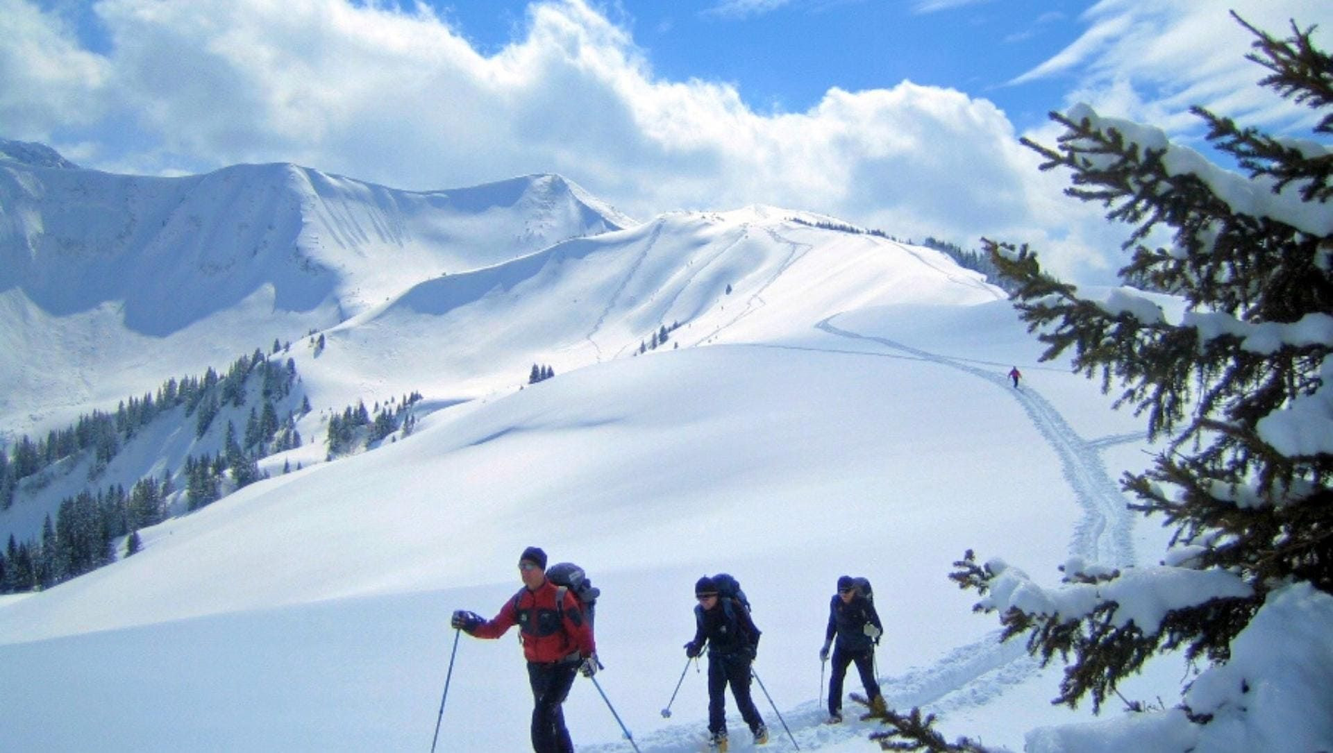 Randonneurs en raquettes sur une crête enneigée - Bregenzerwald - Autriche