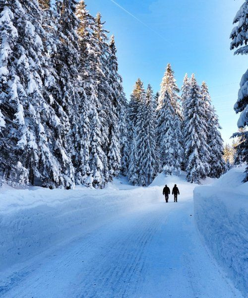 © Andrea Pizzato Randonneurs en raquettes sur une route enneigée - Seefeld-Wildmoos - Tyrol, Autriche