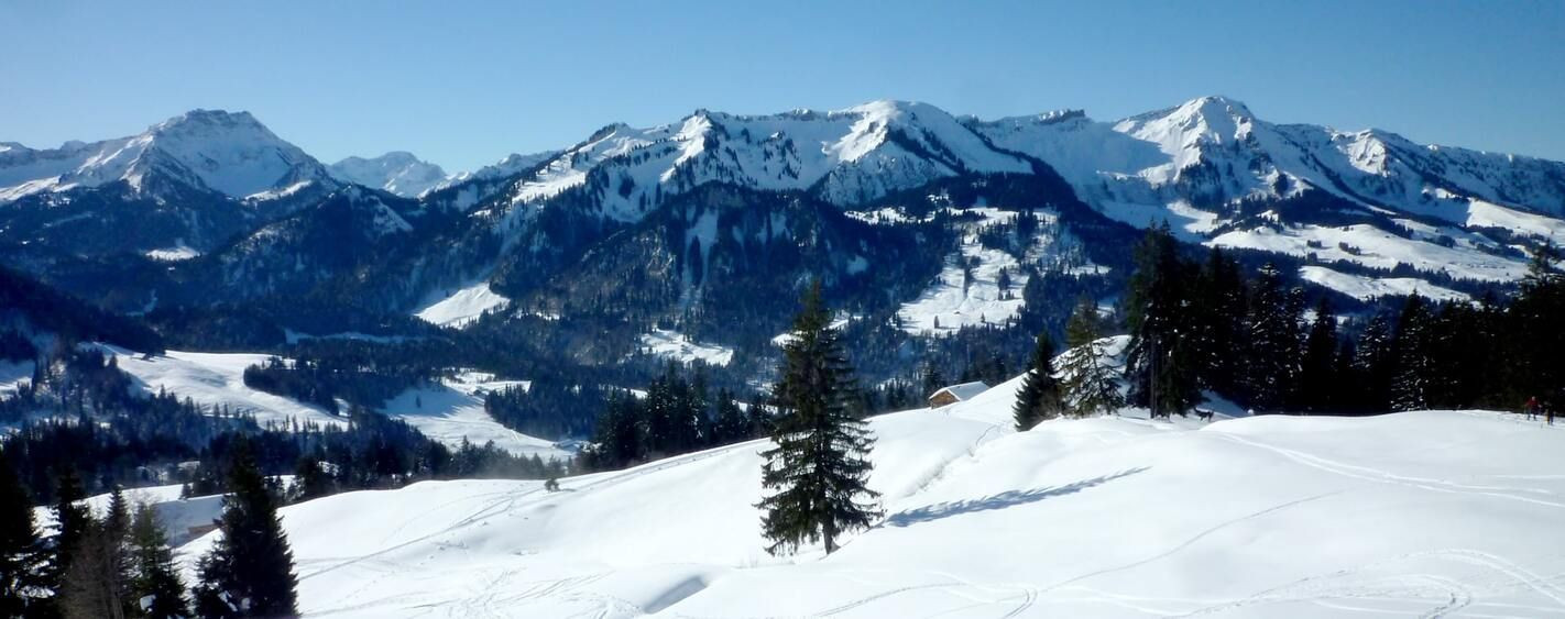Panorama de montagnes enneigées - Bregenzerwald - Vorarlberg - Autriche