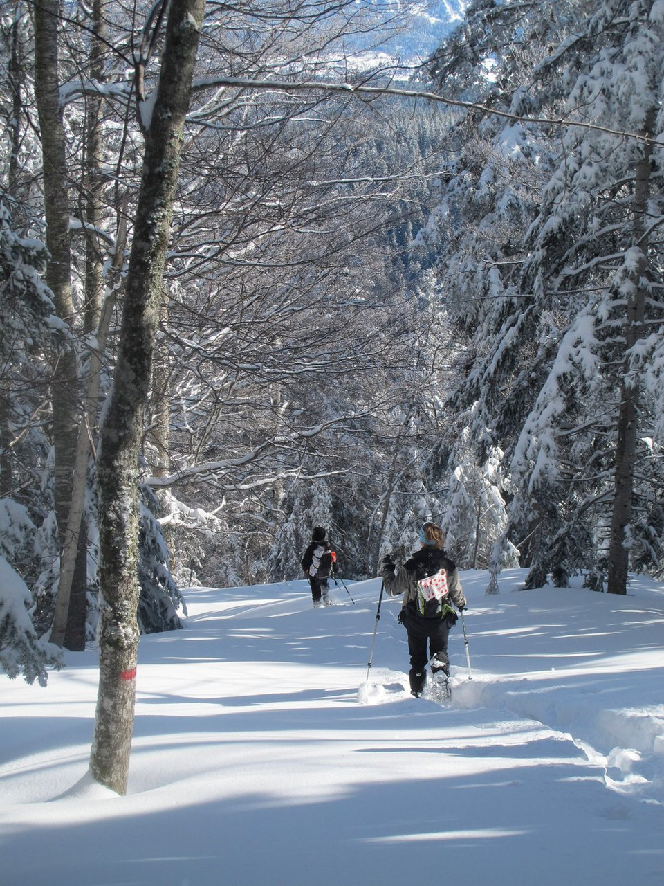 Viajes de nieve 2027: trekking, raquetas y esquí – viajes organizados en el corazón de Europa