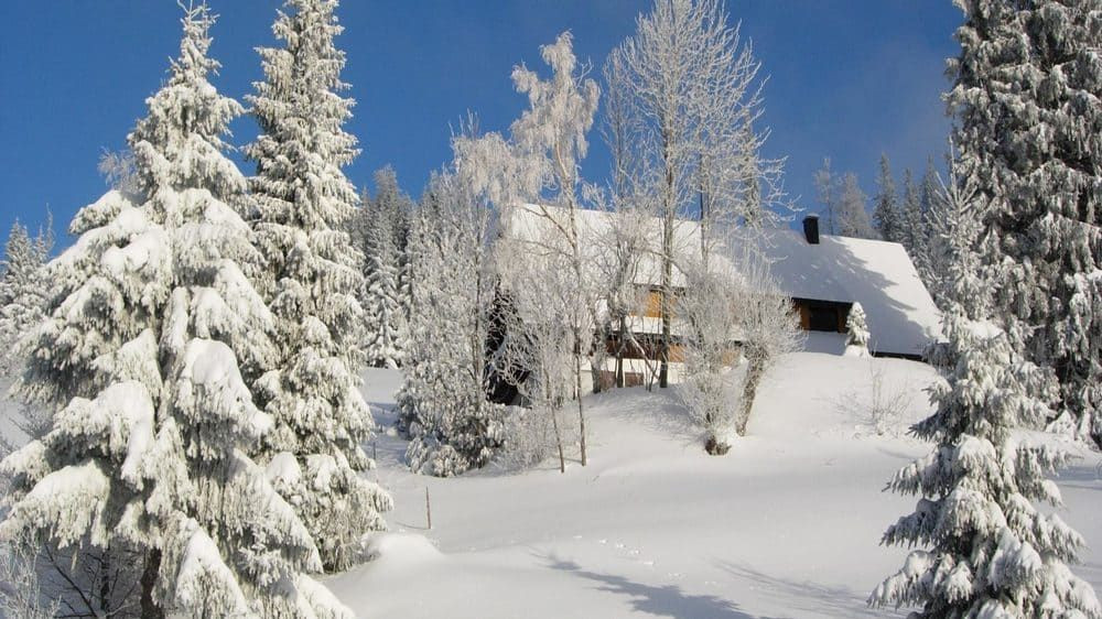 Paysage d'hiver - Forêt-Noire - Allemagne