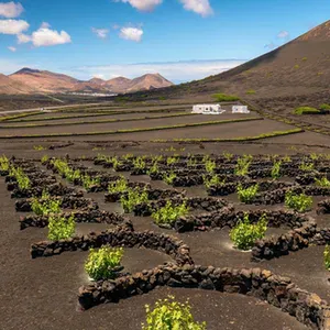 Lanzarote, la isla de los colores