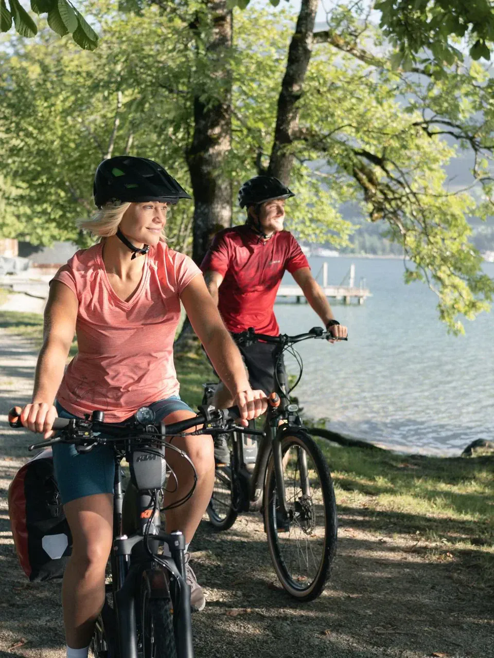 La bicicleta