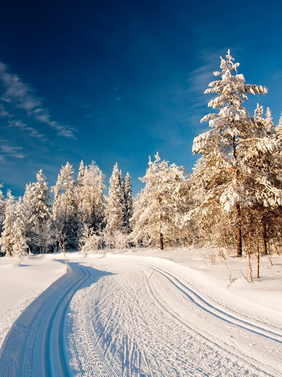 El invierno